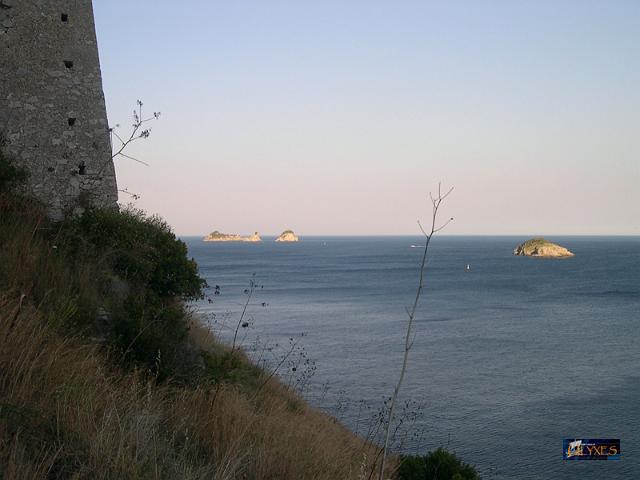 panorama dalla torre.JPG